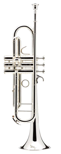 Confluence Bes Verzilverde - AC335BM-2-0