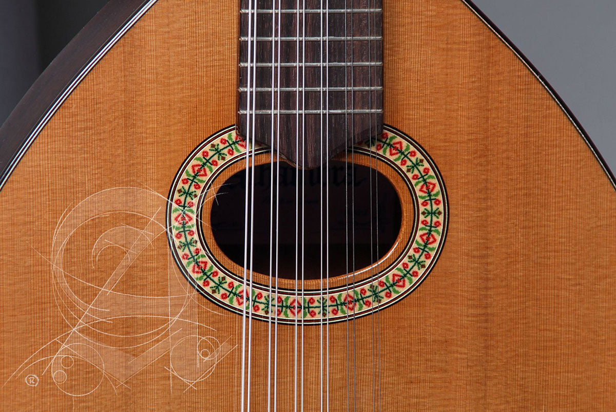 Student L-3C Lutes + 9534 Gigbag