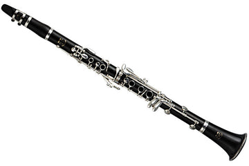 YCL650 Bes (17 Verzilverde Kleppen)