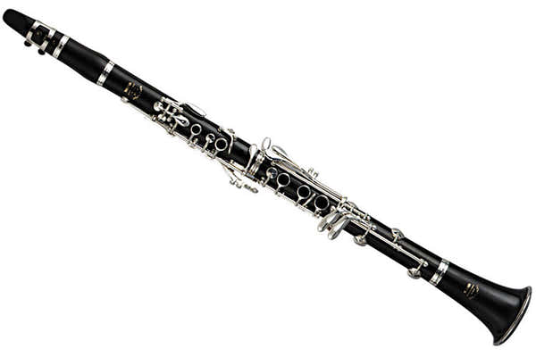 YCL650 Bes (17 Verzilverde Kleppen)