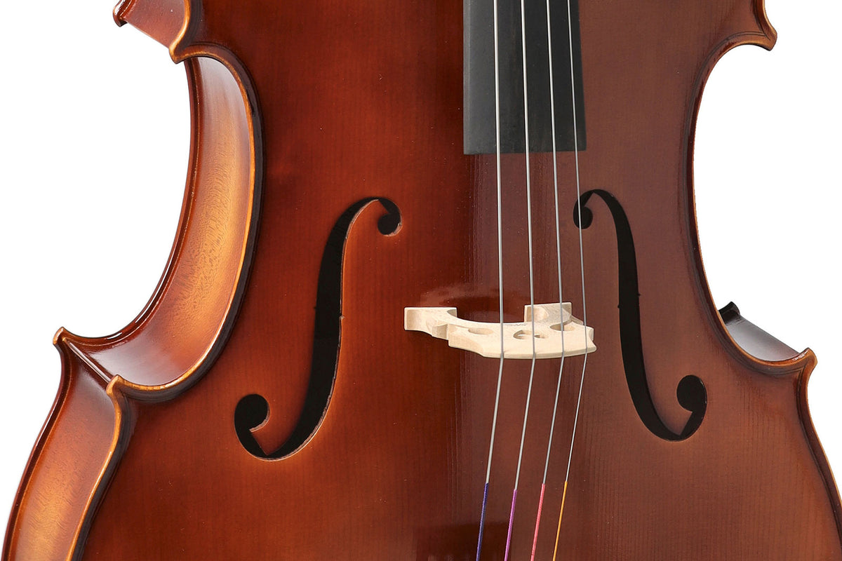 ANNIVERSARY CELLO 3/4 SET UP