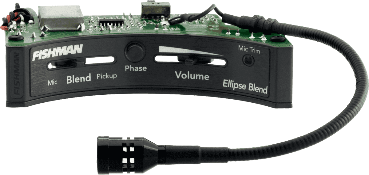 Fishman Ellipse Matrix smal formaat
