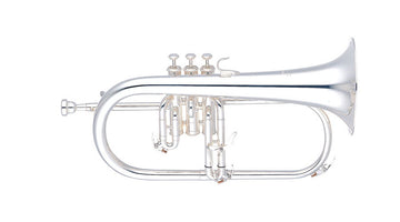 YFH631GS Bes Verzilverda