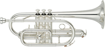YCR2310III Bes Verzilverde