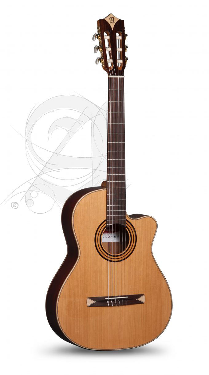 Concert Cs-1 Cw E1 Crossover + 9738 25mm Gigbag