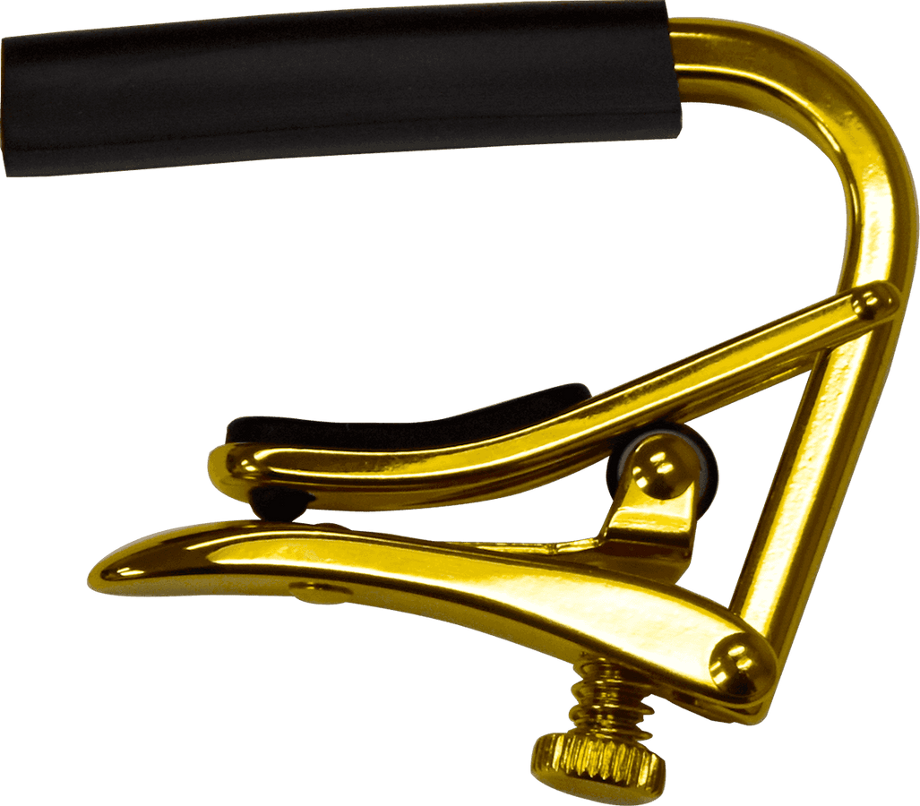 Goud banjo