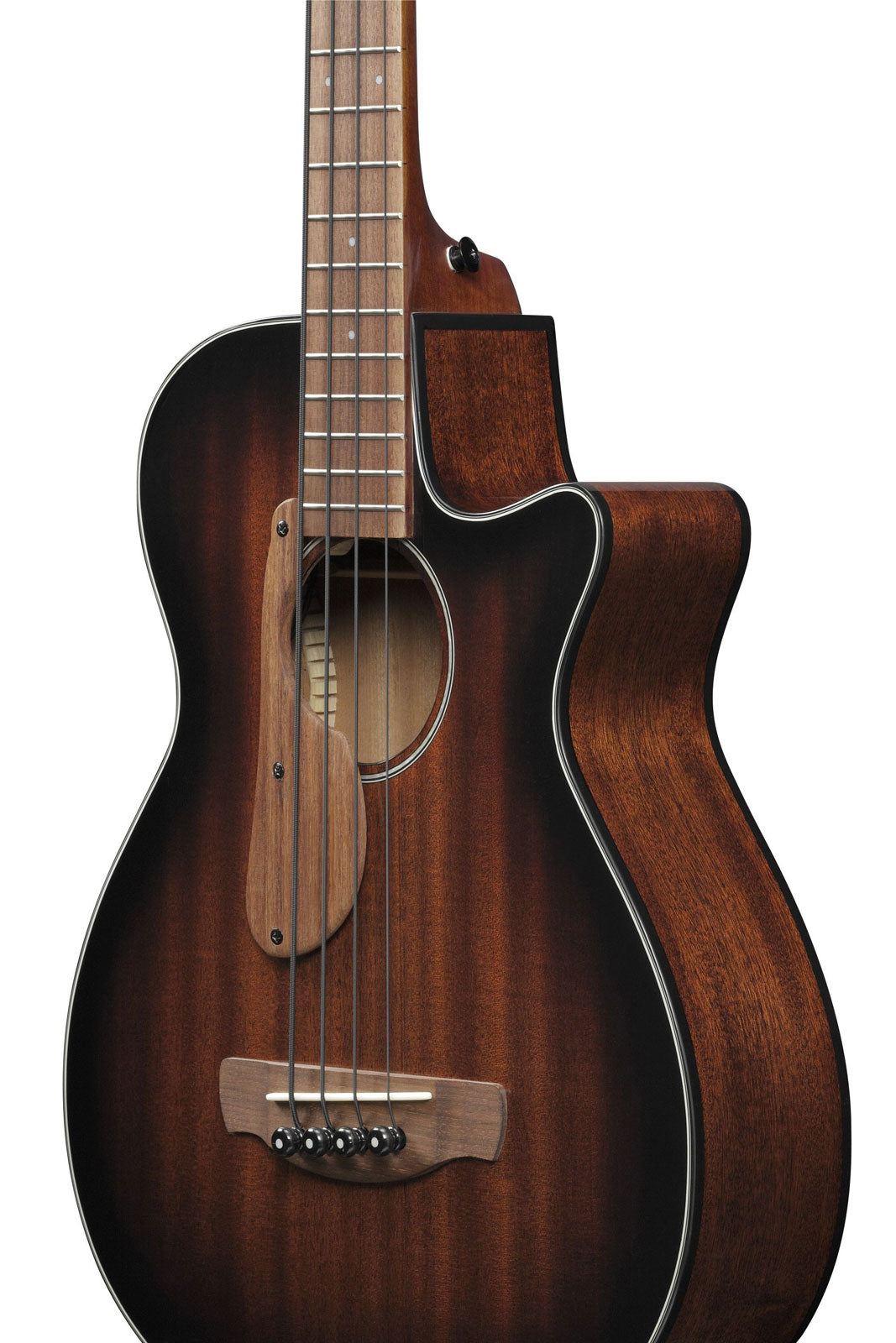 AEGB24E-MHS Mahonie sunburst