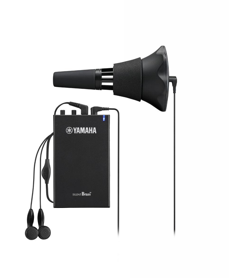 Yamaha Blazers accessoires