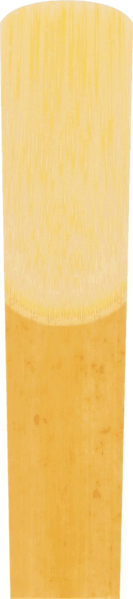 ALTO SAXOPHONE REEDS V21 3