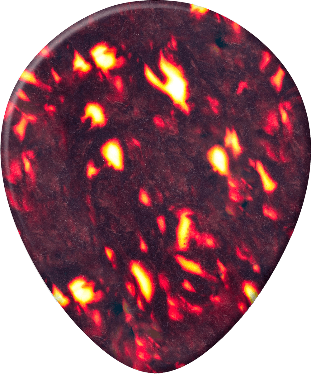12 x Schelp Teardrop Dun