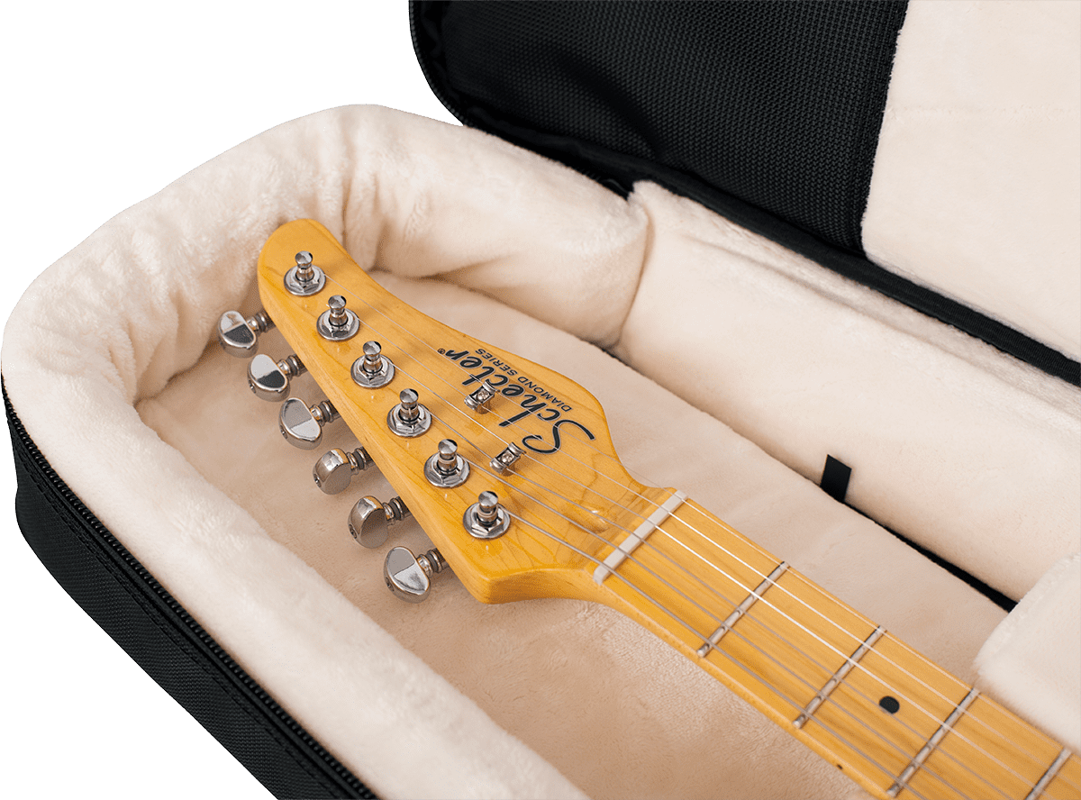 Elektrische Gigbag - ProGo