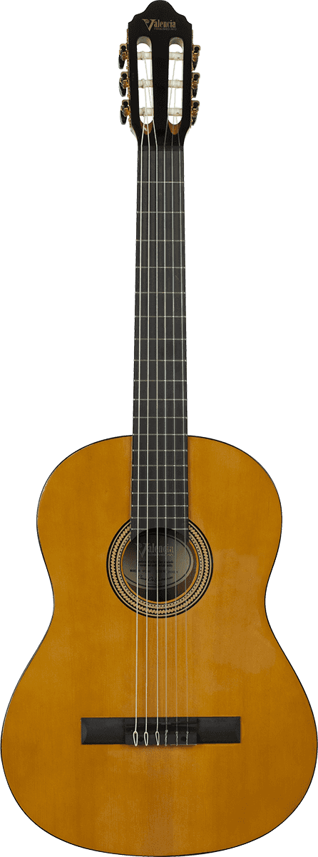 Valencia Vc264 4-4 Natural Glossy Finish