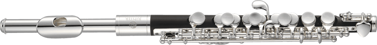 Jupiter Piccolo's