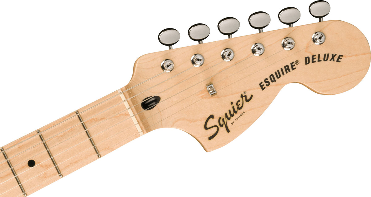 Esquire Dlx Paranormal Mn Metallic zwart