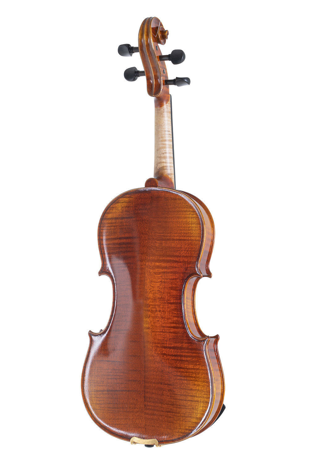 4/4 VIOLIN PREPARED FOR PLAYING PROFILED CASE MASSARANDUBA BOW LARSEN IL CANNONE STRINGS