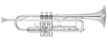 YTR6335RCS Bes Verzilverde