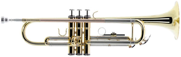 WTP200 - Bb vernist