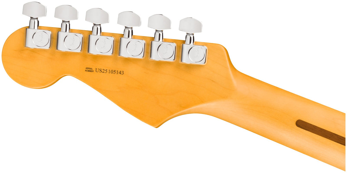 Stratocaster American Professional, RW Zwart