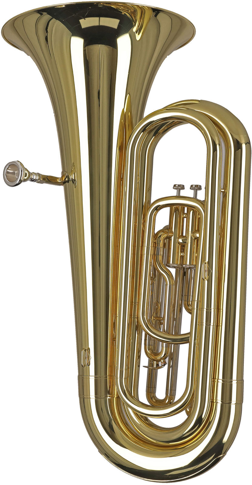Ambition BB650 Contrabas Bes Gelakt