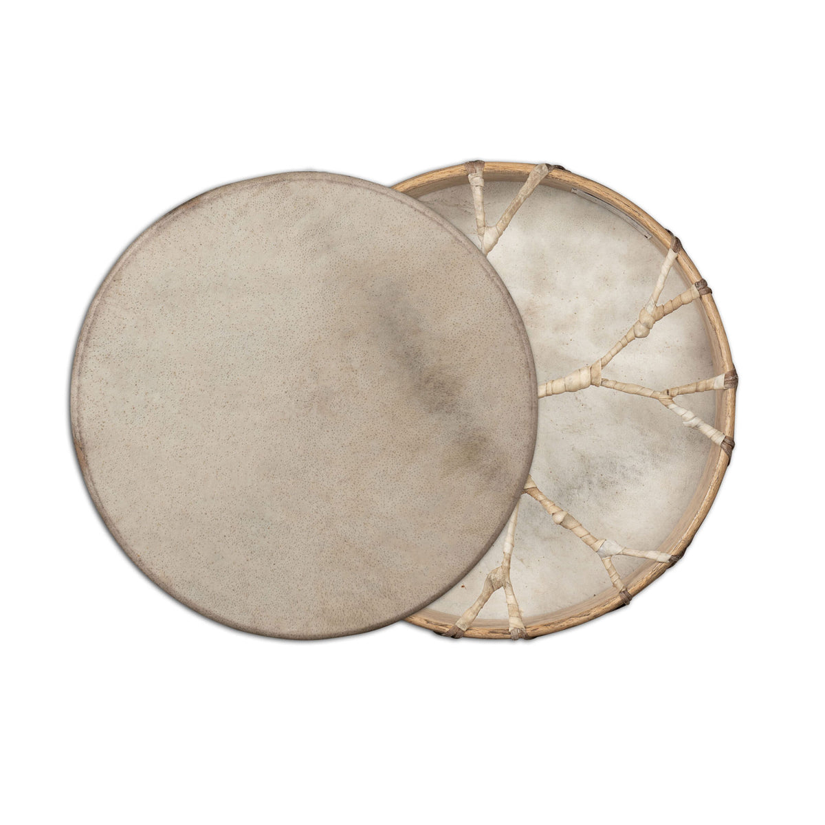 Shaman Drum Buffalo 16