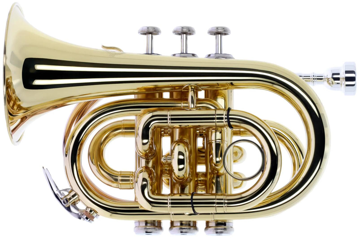 WTP200P - Bb vernist