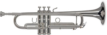 Vision TR272S Bes Verzilverde
