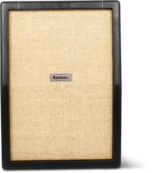 2X12'' 130W STUDIO JTM CAB