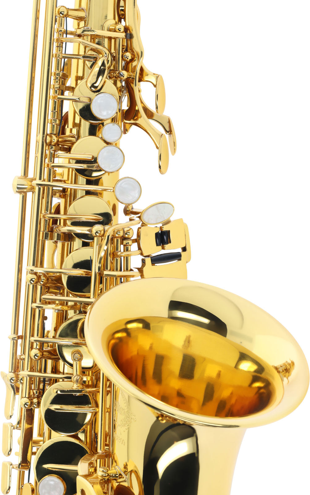 WSA300 - Alt Mi B Verni