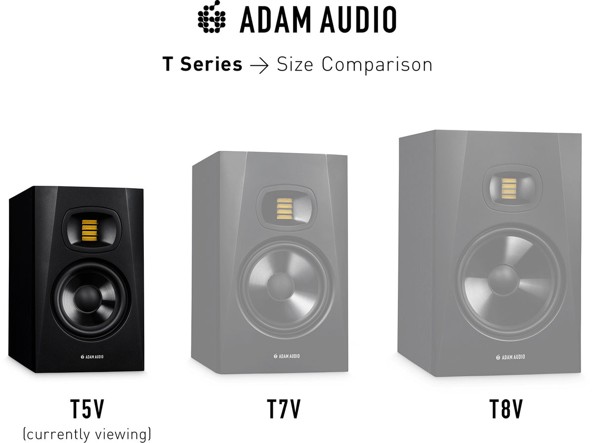 T5V