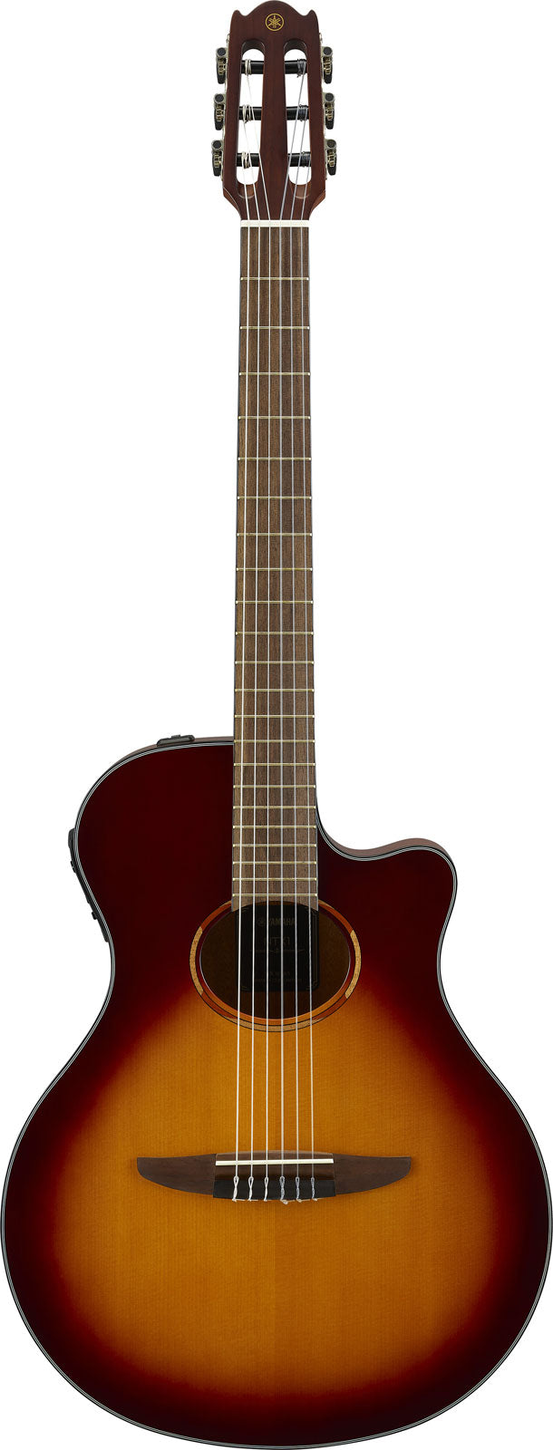 Ntx1 Bruin Sunburst