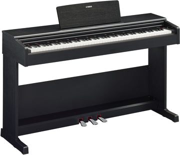 Arius YDP-105 Zwart