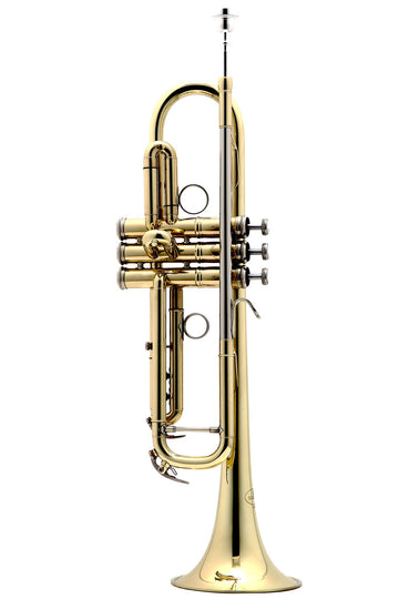NEW STANDARD 111 CLEAR LACQUER