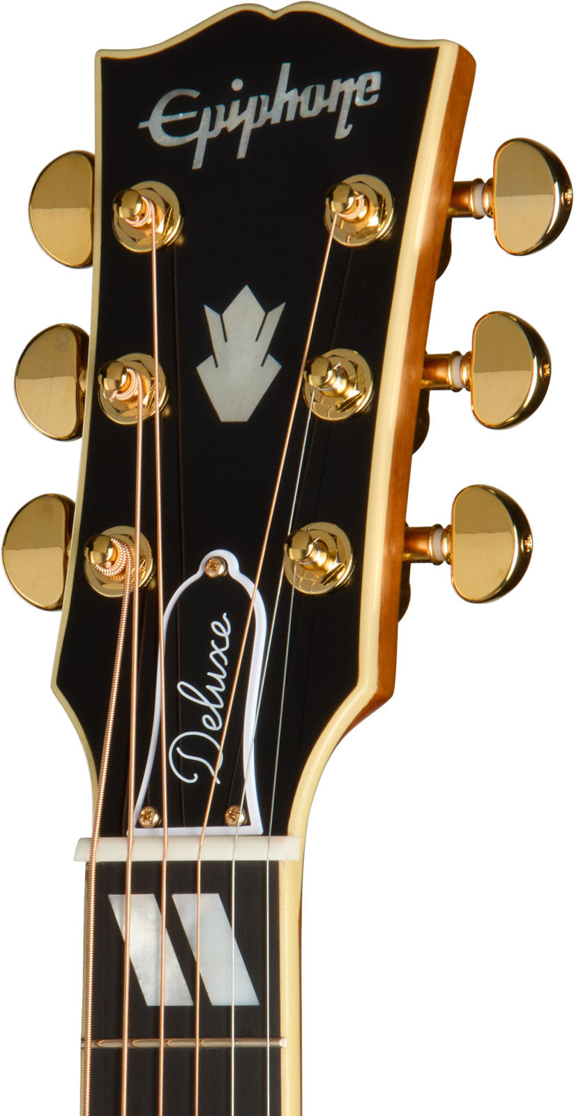 Hummingbird Deluxe EC Autumn Burst IBGCS