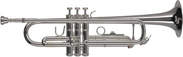 Ambition TR650S Bes Verzilverd