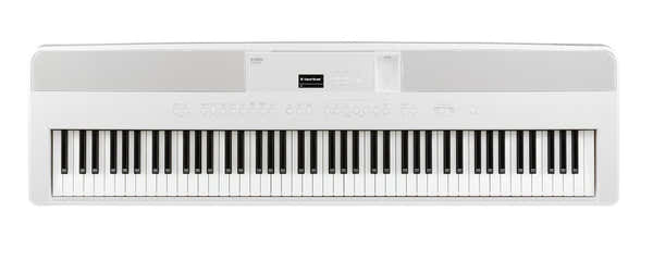 ES-520 Wit