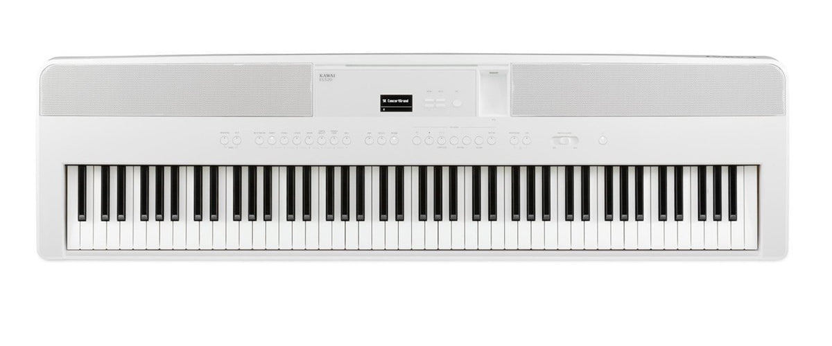 ES-520 Wit