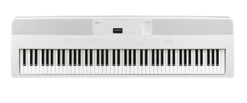 ES-520 Wit