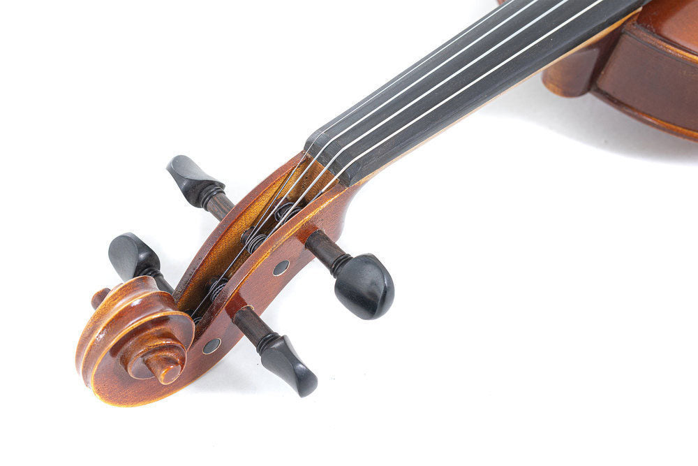 ALTO ALLEGRO-VA1 40,8 CM PREPARED FOR THE GAME PROFILED CASE CARBON BOW ALPHAYUE STRINGS