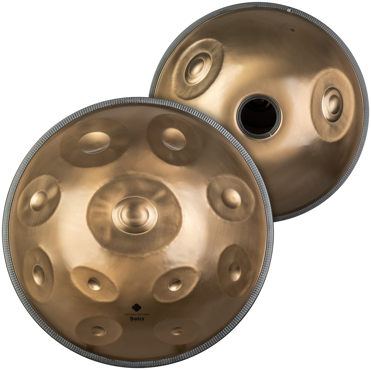 Harmony Handpan D Kurd 11+2 - Stainless Steel