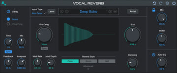 Vocale reverb