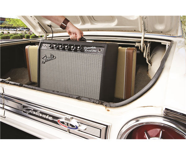 65 Princeton Reverb
