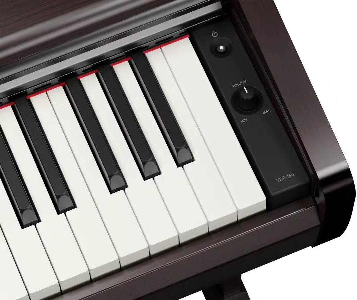 YDP-146 Rosewood
