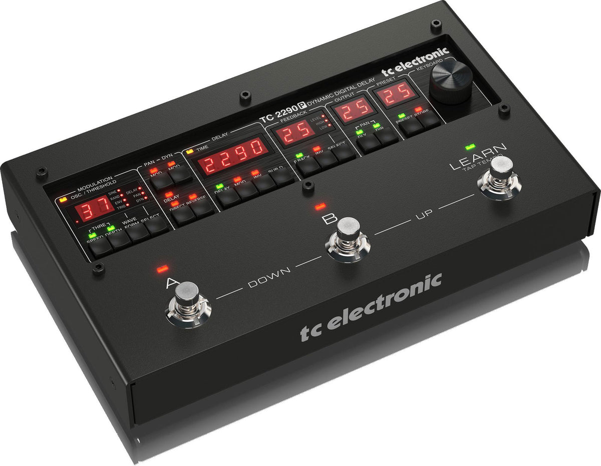 2290 P Dynamische digitale delay