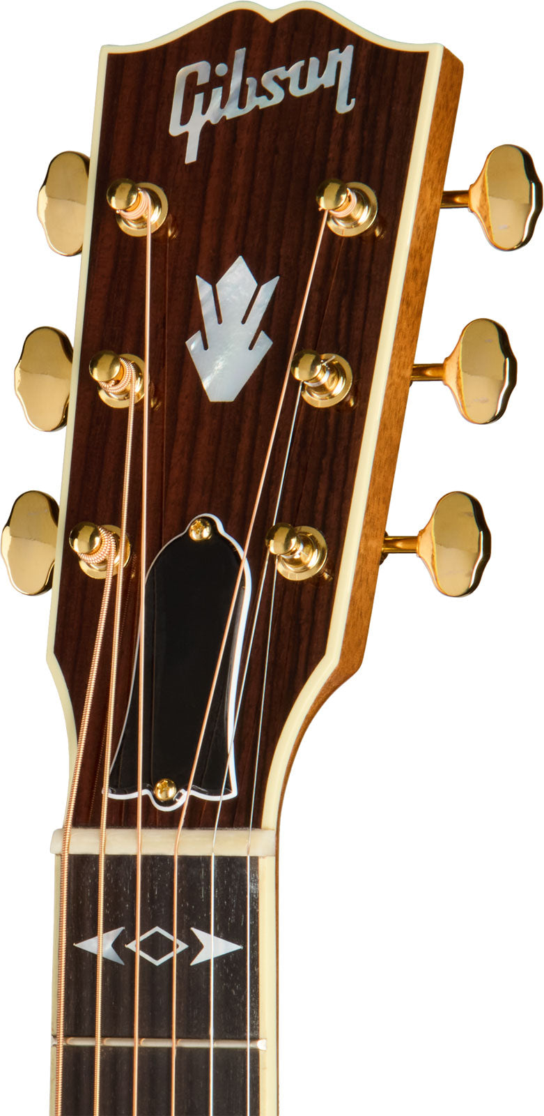 Songwriter Recording Artist EC Antique Natural Modern