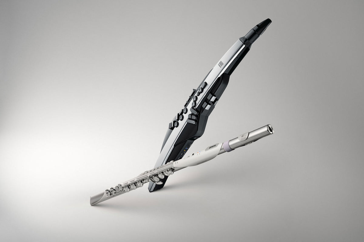 AE-BRISA Aerofoon Brisa