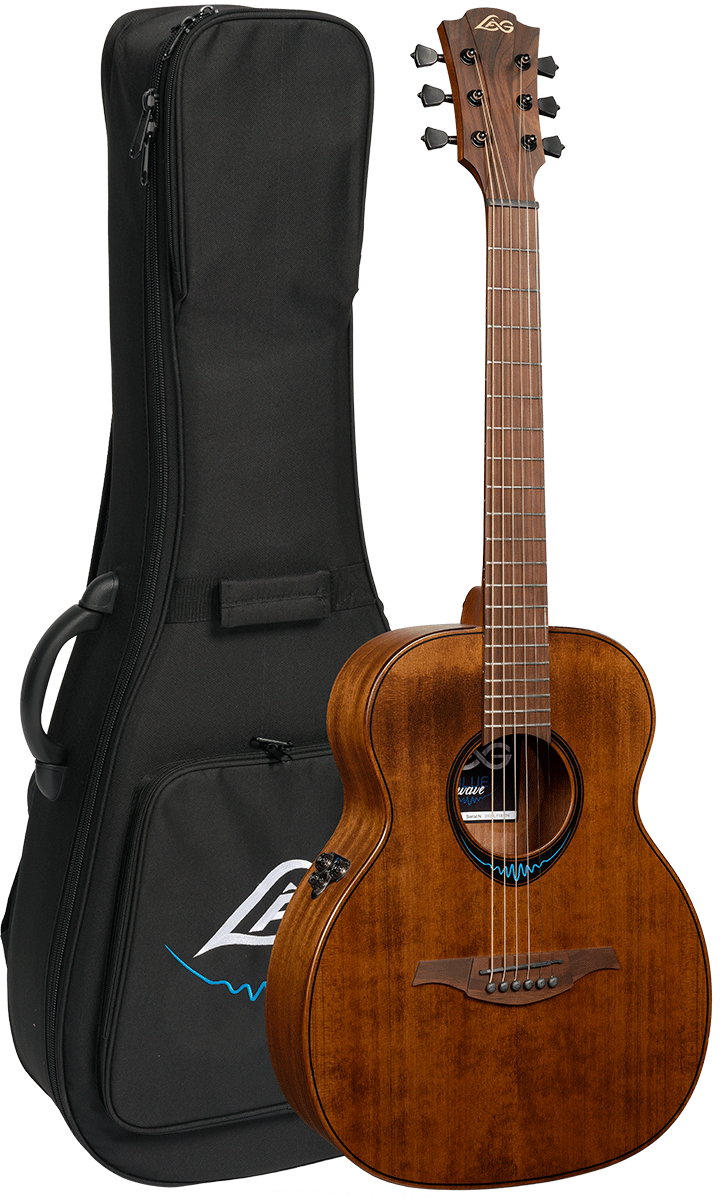 Bluewave 1 Travel Bruin