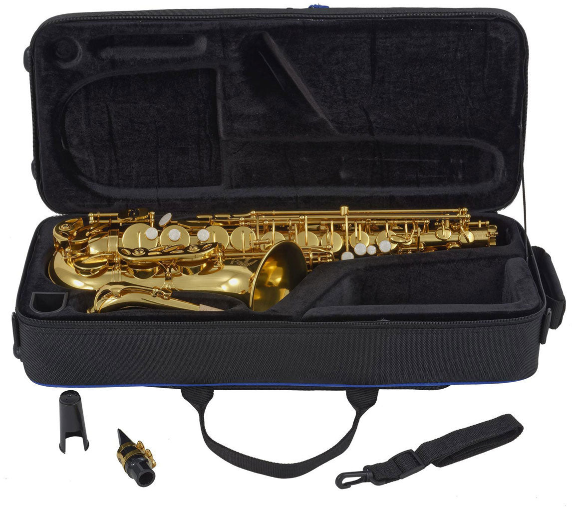 WSA300 - Alt Mi B Verni