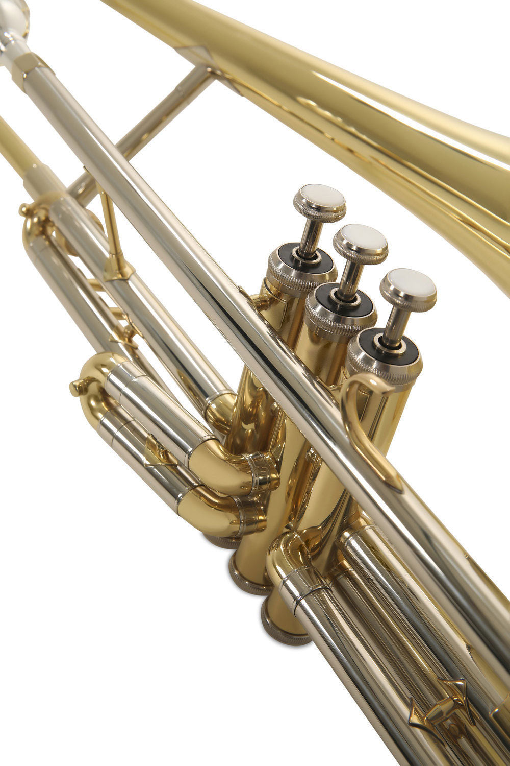 Ambition VT501 Tenor Bes gelakt