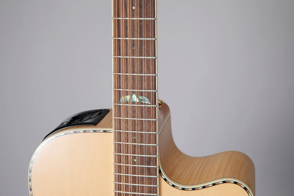 GD74CE-12 Dreadnought Snaren Naturel