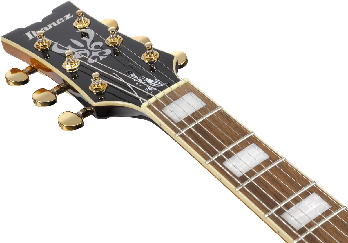 JSM10em Signatuur van John Scofield Tweekleurige Burst